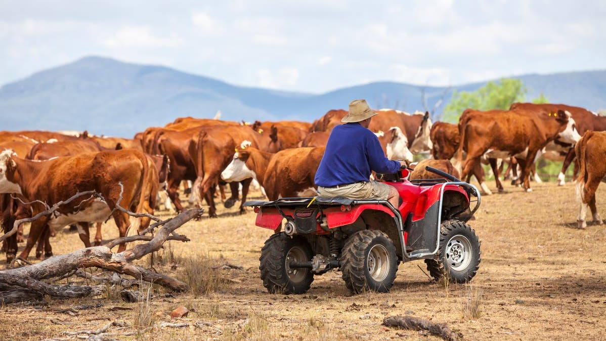Australia , Senior ministers ,  Liz truss, United Kingdom, UK government