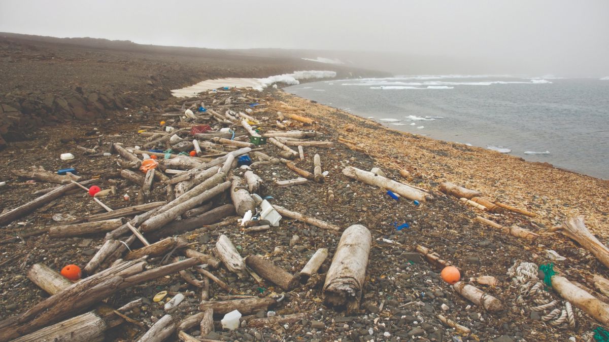 Plastic, ocean animals, streams,  seas,  shorelines,  Researchers