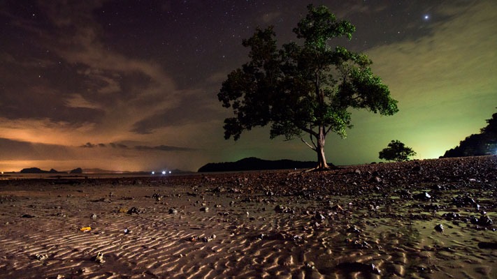 Grains, environmental ,  Ms. James , Earth Cymru , governments