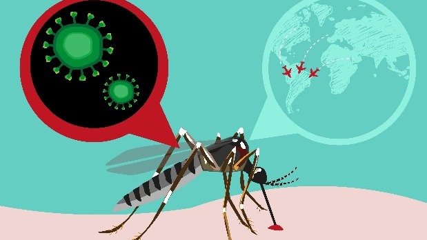 Zika infection, Dr. Mathew, Disease , Kerala ,  Public Health