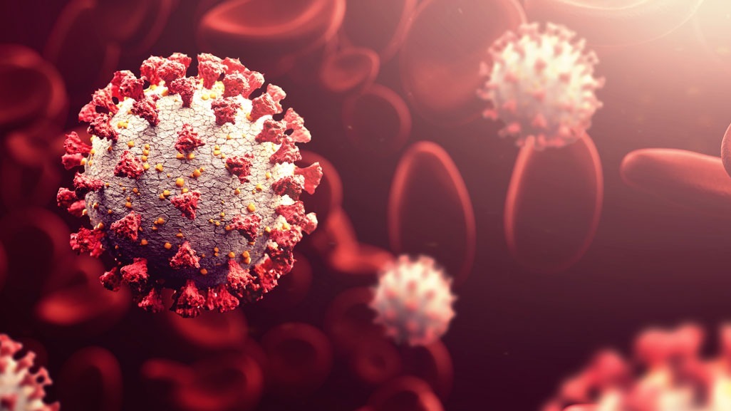 DNA ,  East Asians, SARS-CoV-2 , infection, FOXP4