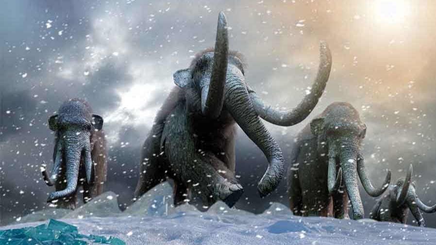 Alaska, oxygen, chronological , Mammoth tusks , Alaska Fairbank